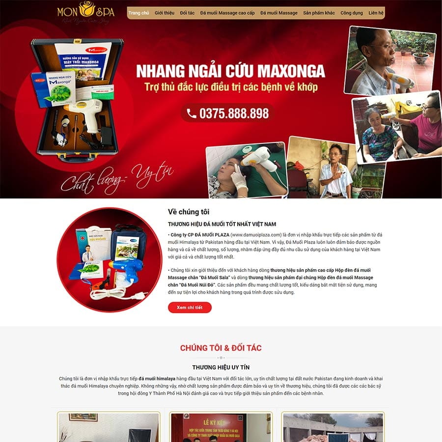 Mẫu website WordPress bán đá muối
