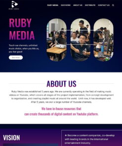 Mẫu website WordPress công ty media network