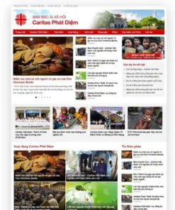 Mẫu website WordPress tin tức 10