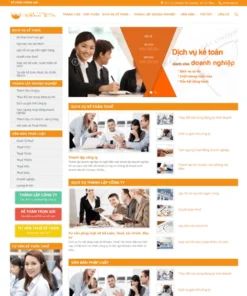 Theme WordPress công ty dịch vụ kế toán 02
