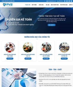 Mẫu website WordPress kế toán 02