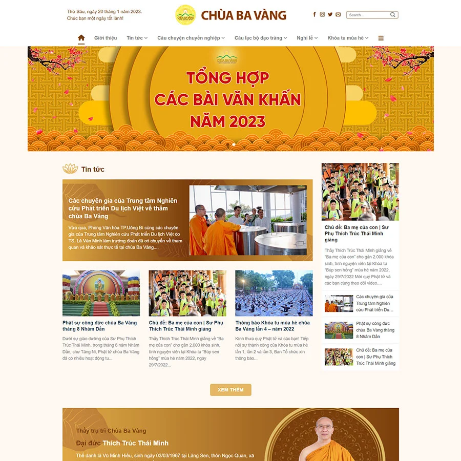 Mẫu website WordPress tin tức 19
