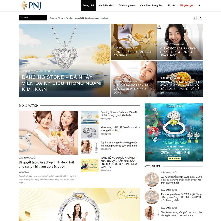 Mẫu website WordPress tin tức 25