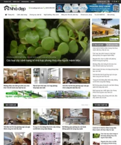 Mẫu website WordPress tin tức 04